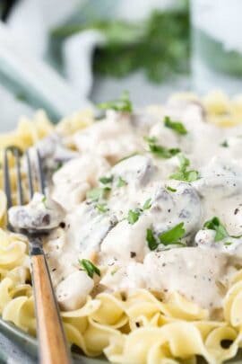 chicken stroganoff on a plate with a fork