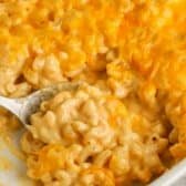 taking a spoonful of Homemade Mac and Cheese Casserole out of the dish